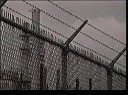 'Candida Royalle's Revelations' screenshot nº 113