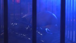 'MilfDom 2' screenshot nº 44