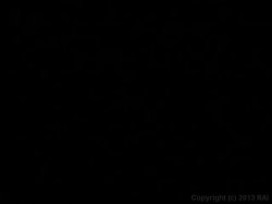 'Up and Cummers 73' screenshot nº 1