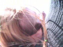 Captura de 'Horny Hairy Girls 14' nº 90