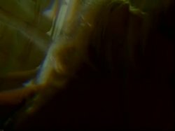 Captura de 'And the Winner Is... Nikki Tyler' nº 20