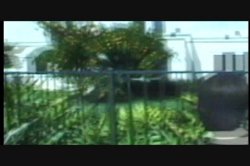 Captura de 'There's Something About Jack 7' nº 3