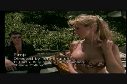 Captura de '3 Into Cheyenne Silver' nº 127