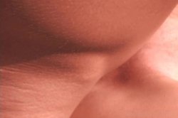 'Freshly Made 2' screenshot nº 101
