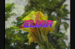'Elixir' screenshot nº 1