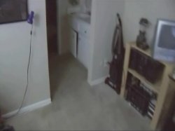 'Homegrown POV' screenshot nº 55