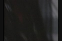 Captura de 'Never Say Never To Rocco Siffredi' nº 138