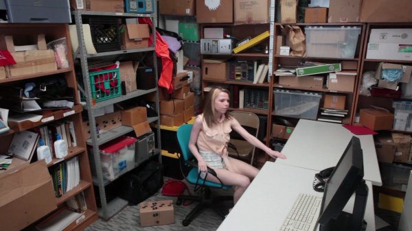 Free Video Preview image 3 from ShopLyfter 9