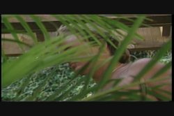 Captura de 'Loose Lifestyles' nº 102