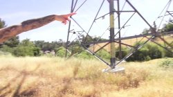 'Outdoor Sluts' screenshot nº 84