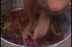 'Big Busted Lesbians 4' screenshot nº 6