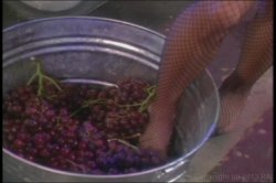 'Big Busted Lesbians 4' screenshot nº 4
