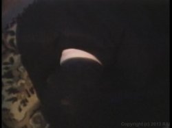 'Satisfaction Jackson' screenshot nº 84