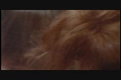 'Vivid Girl Confidential: Janine' screenshot nº 8