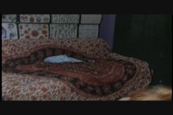 'Vivid Girl Confidential: Janine' screenshot nº 11