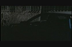 'Vivid Girl Confidential: Janine' screenshot nº 134