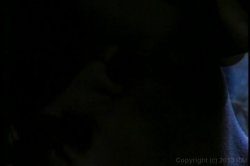 'Chick To Chick' screenshot nº 19