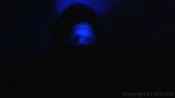 'Asian Fixation' screenshot nº 112