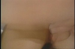 'Essential Chasey, The' screenshot nº 128