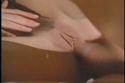 'Essential Chasey, The' screenshot nº 129