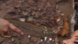 Captura de 'August Night & Estelle Laurence Lesbo Lick Dildo Climax Collector Scene' nº 41