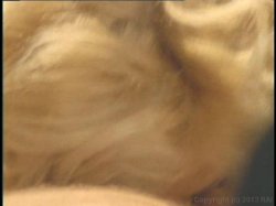 'Mad Cow: Blonde Edition' screenshot nº 33