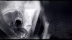 Captura de 'MILF - A Darker Side' nº 66