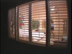 'The Video Adventures of Peeping Tom Number 24' screenshot nº 60
