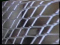 'French Open Part Deux' screenshot nº 74