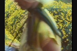 Captura de 'Sweet Alice' nº 81