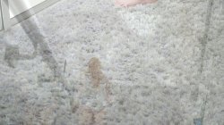 'Lust Unleashed 15' screenshot nº 80