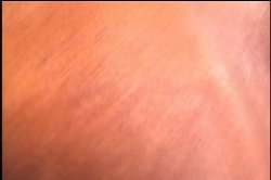 Captura de 'Black Glamour Girls' nº 136