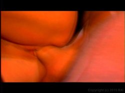 'Chronicles of Nectar' screenshot nº 4