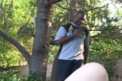 'Blacks On Blondes' screenshot nº 29