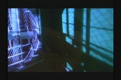 'Evolution' screenshot nº 21
