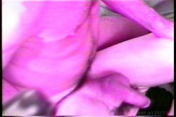 Captura de 'Married With She Males' nº 120