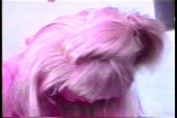 Captura de 'Married With She Males' nº 123