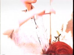 'Single White SheMale' screenshot nº 12