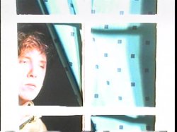 'Single White SheMale' screenshot nº 13