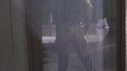 Captura de 'Rocco's Dirty Girls' nº 125