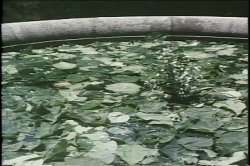 'Through the Looking Glass (Video X Pix)' screenshot nº 93