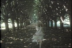 'Through the Looking Glass (Video X Pix)' screenshot nº 1
