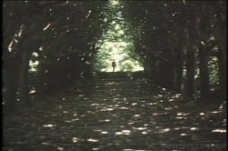 'Through the Looking Glass (Video X Pix)' screenshot nº 2