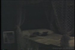 'Through the Looking Glass (Video X Pix)' screenshot nº 30