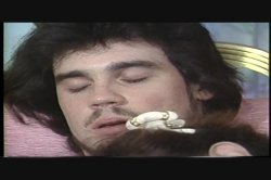 Captura de 'Miami Vice Girls' nº 11