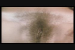 'Hot Honey' screenshot nº 45