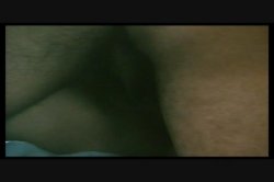 'Hot Honey' screenshot nº 138