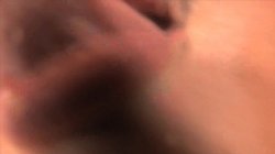 Captura de 'Bush Gardens 3' nº 24