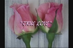 'True Love' screenshot nº 1