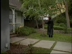 'Menage a Toy' screenshot nº 37
